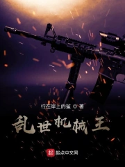  乱世机械王