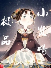  极品小贤婿