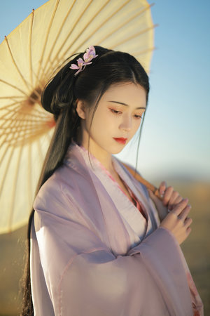  明灯劫皇上要废后